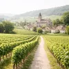 Un circuit du patrimoine UNESCO en Bourgogne pour voyager au cœur de l’histoire et des vignobles