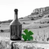 Comprendre le vin jaune du Jura et son prix avant de voyager en Bourgogne Franche Comté
